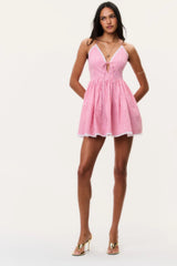 Khloe Cotton Gingham Mini Dress ~ Berry Bramble