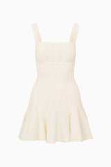 Tabatha Stretch Pointelle Mini Dress ~ White Tea