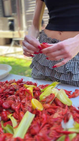 It's the Little Things Ribbed Baby Tee ~ Crawfish