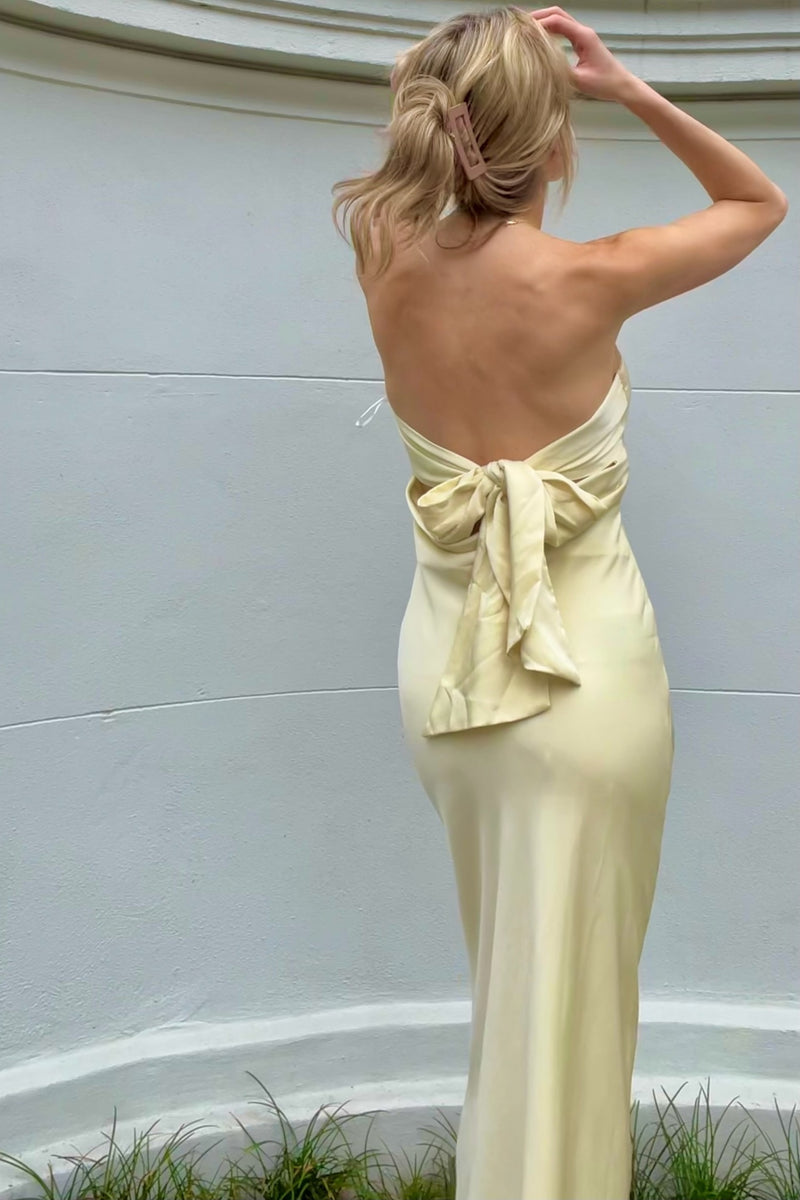 Got Glam Maxi Dress