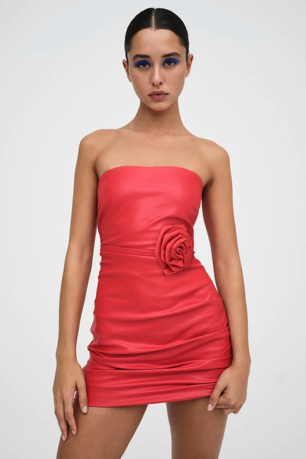 Stella Mini Dress ~ Red