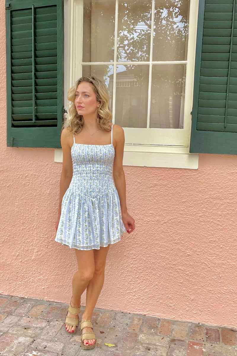 Vintage Rose Mini Dress