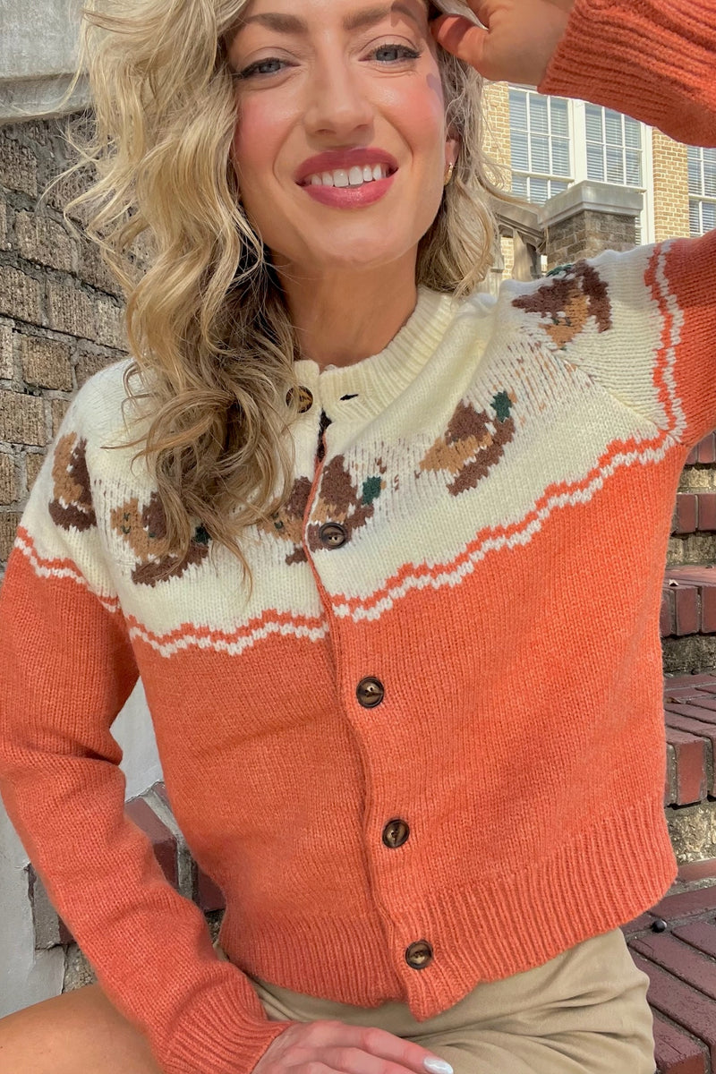 Ducks in a Row Cardigan