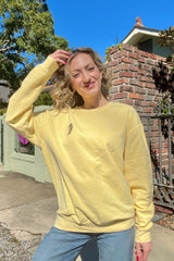 It's the Little Things Lightweight Pullover ~ Bead Dog