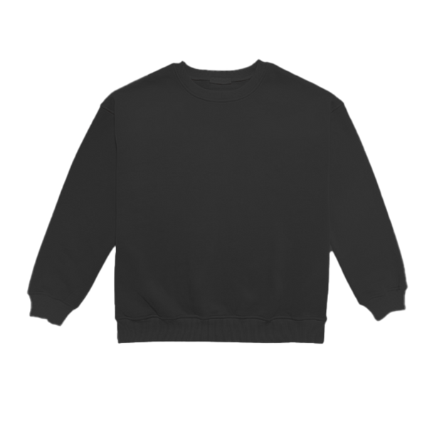 Copy of SYBB Crewneck Pullover All Categories