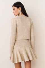 Sarajane Sequin Stretch Knit Mini Dress ~ Honey Gold