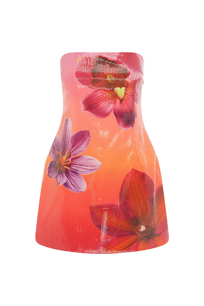 Ibiza Mini ~ Cosmo Ombre