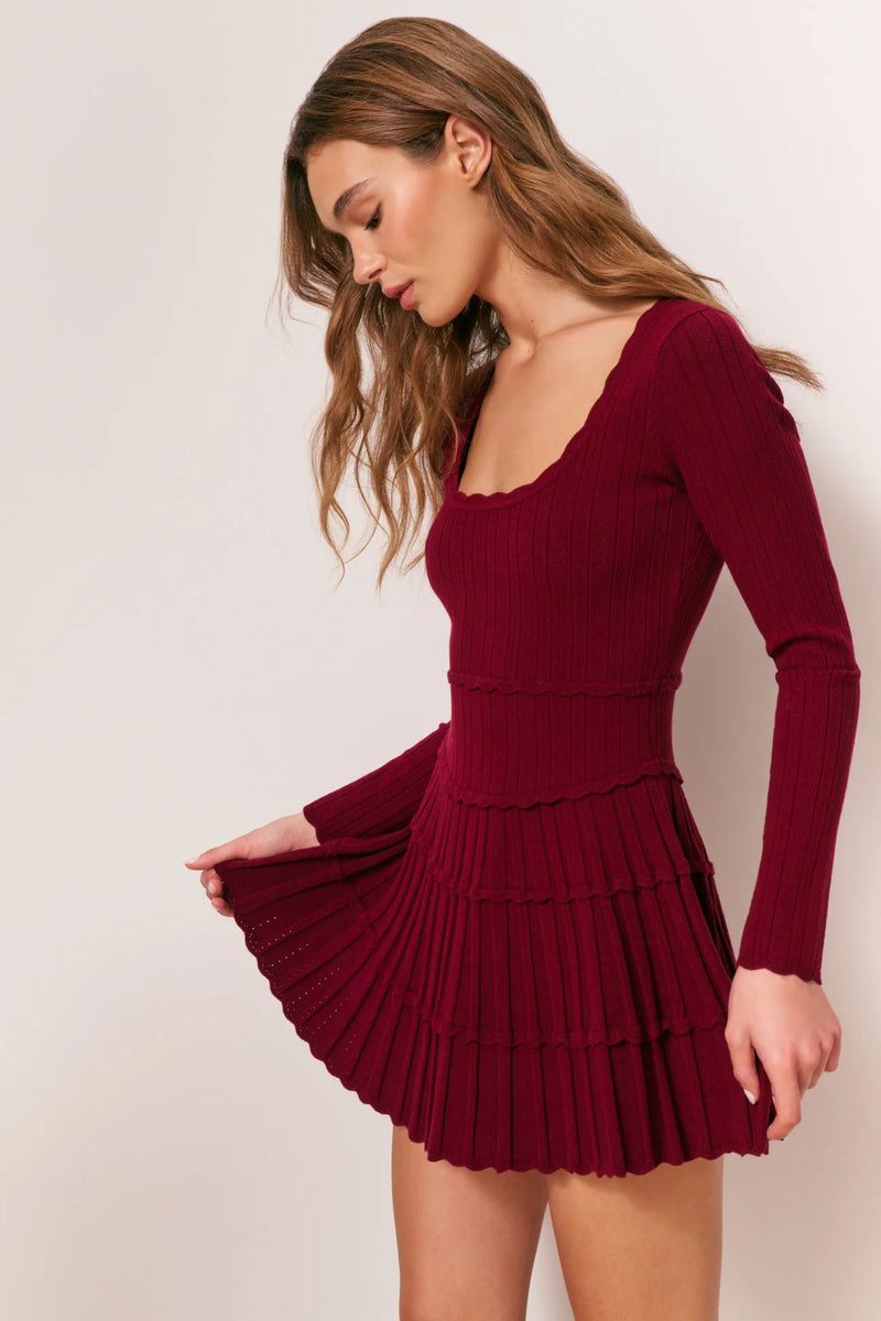 Lavender Stretch Pointelle Mini Dress ~ Spiced Berry