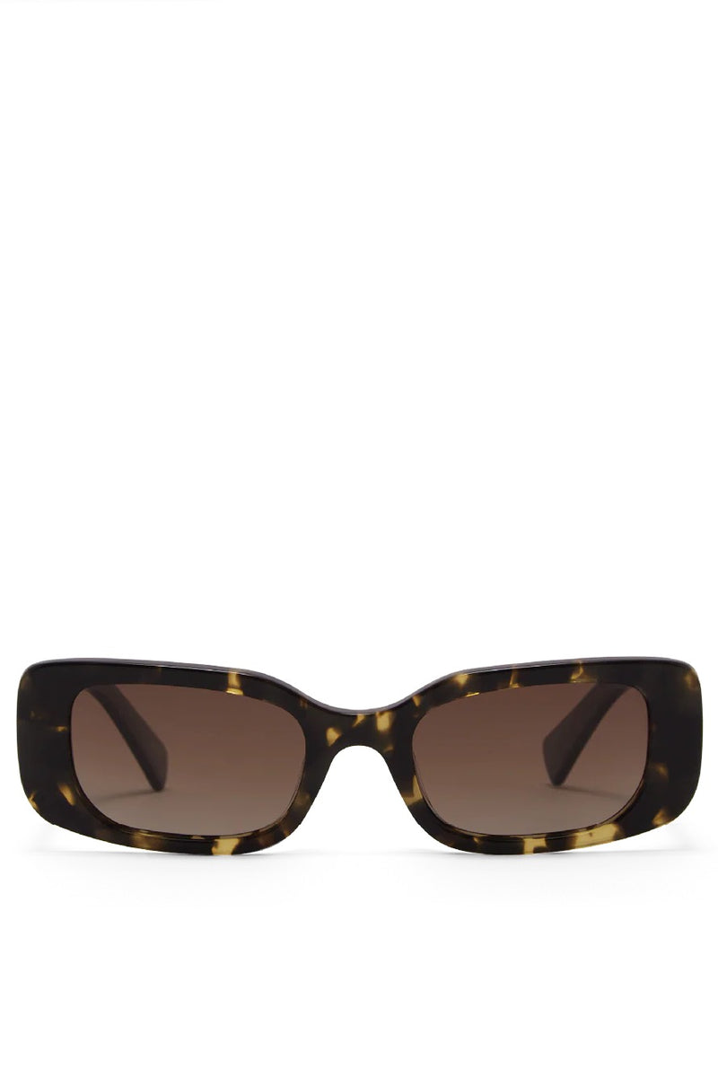 The Tash ~ Toffee Tort/Black Pecan