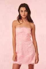 Vailia Organza Eyelet Mini Dress ~ Pale Pink