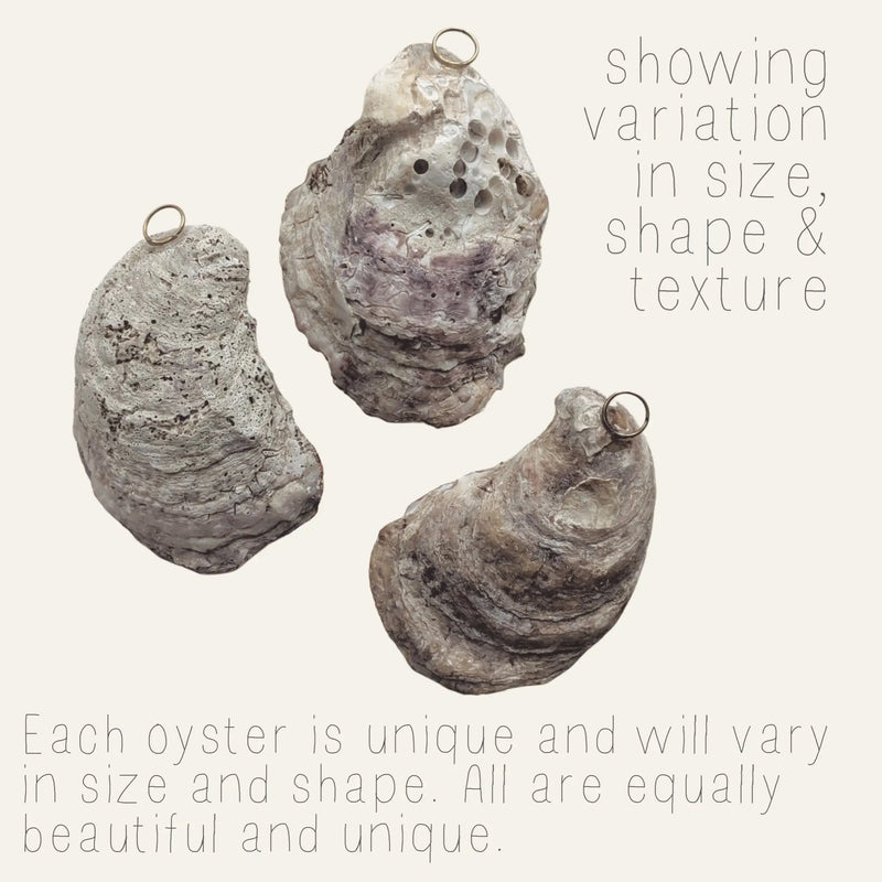 Handcrafted in our very own New Orleans, this beautiful oyster shell ornament features a watercolor Mardi Gras graphic and is the perfect holiday decoration for any and all New Orleans lovers! Let it seamlessly transition your Christmas tree into a Mardi Gras miracle. Meticulously sealed and detailed with golden gilders enamel, then adorned with a metallic ribbon and packaged with an Algiers Oyster Company hang tag. Not to mention ~ they make just about the cutest gift we can imagine!