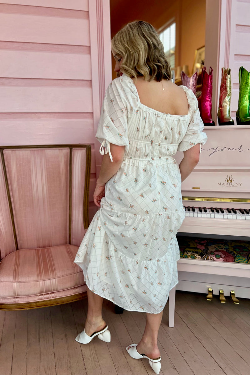 Picnic in the Park Cotton Midi