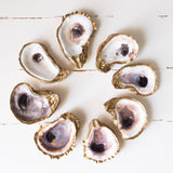 These elegant gilded oyster jewelry dishes are a beautiful nautical accent for your home, and better yet, they give back! Grit and Grace recycles ten oyster shells for each oyster ring dish sold. The beautiful packaging reads, “The World Is Your Oyster!” with a scripted message on the inside of their eco-friendly box, which also contains 100% recycled crinkle paper.